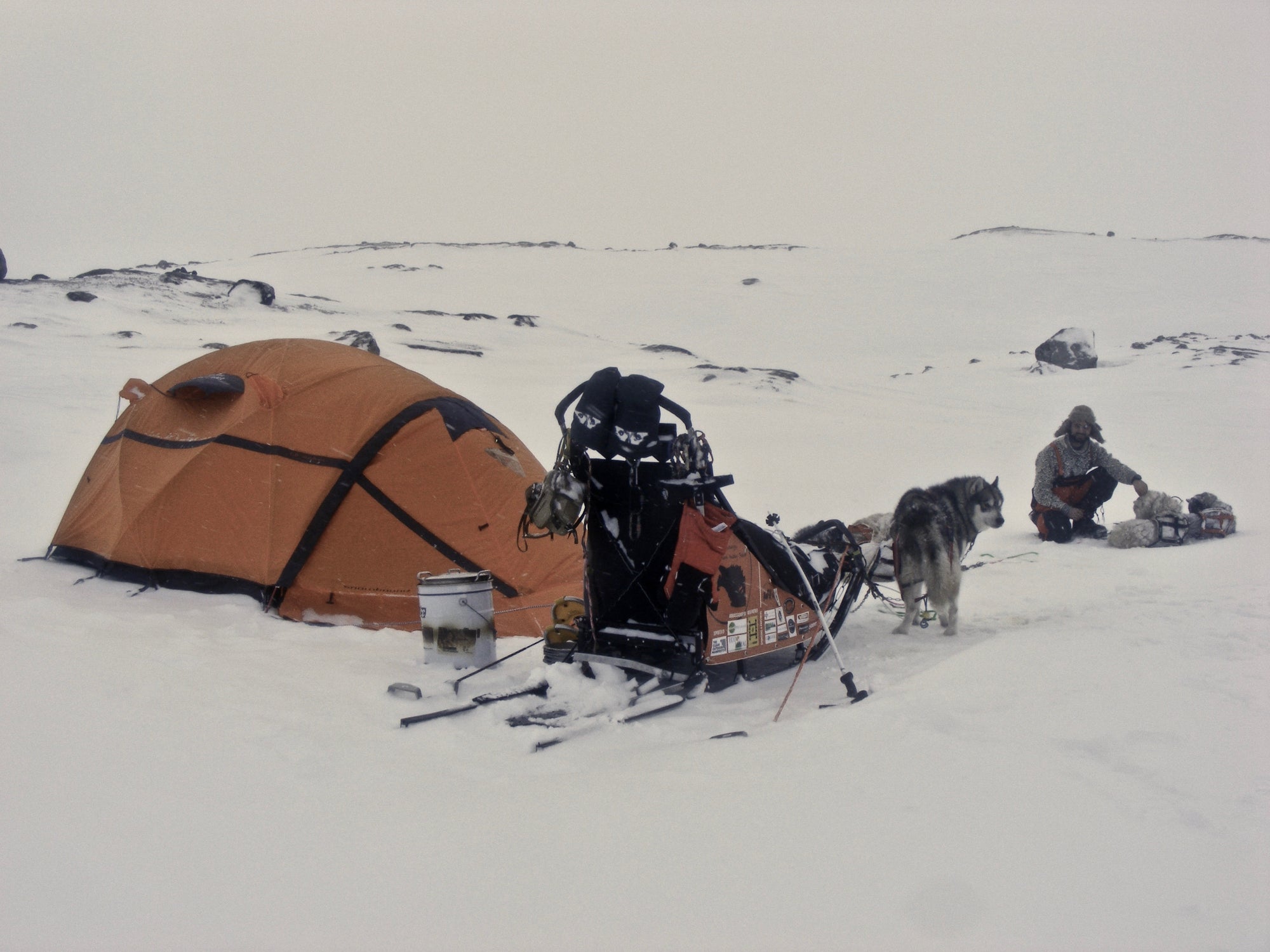 The Way: A New Beginning - Dog Sledding with Fra Indi