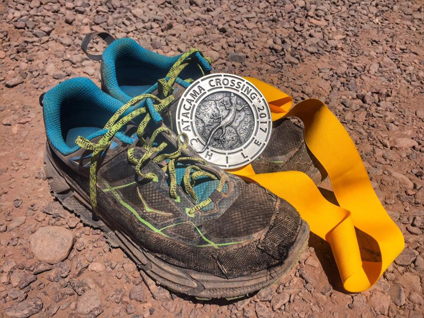 TAMING A DESERT DEMON