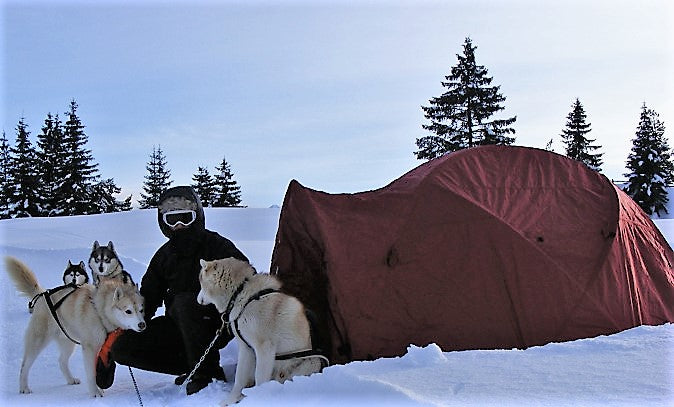 Fra Indi Dog Sledding: Alba Imago 2021