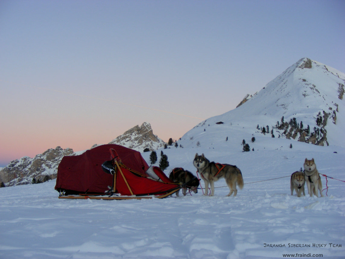Siberian Husky Team - Solo Expedition to the Eastern Alps